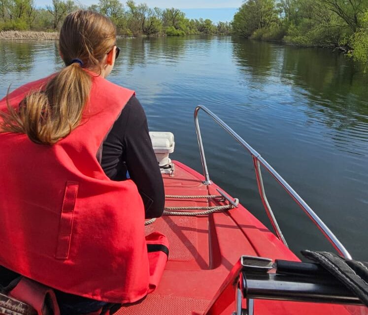 Cum se simte liniștea absolută: o dimineață pe barcă în Delta Dunării